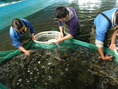 海安 以特色農(nóng)業(yè)為基，串起旅游開發(fā)協(xié)同發(fā)展鏈