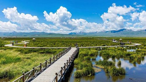 旅行社服務(wù)行業(yè)與旅游開發(fā)的融合發(fā)展趨勢(shì)