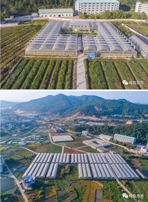 平衡發展與保護 旅游景點開發的可持續之路