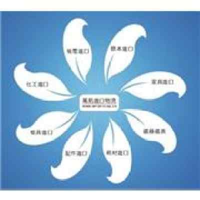 深圳一般貿(mào)易進口代理與報檢全攻略 策劃創(chuàng)意服務(wù)的專業(yè)橋梁